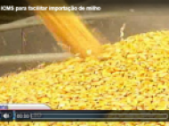 Entrevista: RS Altera ICMS para facilitar importação de milho