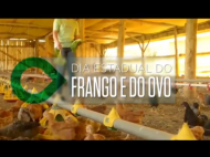 Video Institucional: Dia Estadual do Frango e do Ovo 