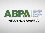 Video Institucional: ABPA - Orientações sobre Prevenção contra a Influenza Aviária