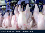 Exportações de carne de frango rendem US$ 5 bilhões | Band Cidade RS (12/07/2023)