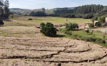 Agropecuária tem perda calculada em R$ 3 bilhões no Rio Grande do Sul após enchentes