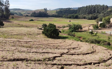 Avicultura gaúcha avalia impactos causados pela crise climática