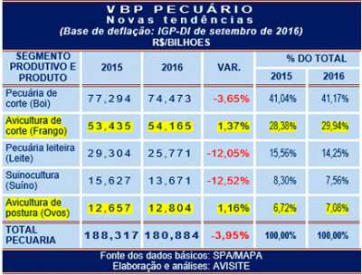 VBP da avicultura será positivo em 2016  aponta nova projeção da SPA do MAPA