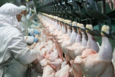 Brasil firma acordo com União Europeia para aumentar exportações de frango