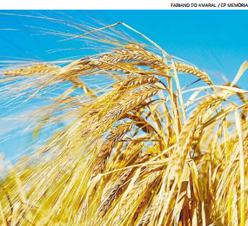 Oferta derruba cotação no Rio Grande do Sul