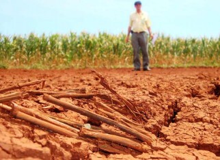 Seca contribuiu para redução do PIB Agropecuário