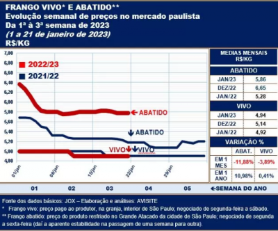 Desempenho do frango (vivo e abatido) na terceira semana de 2023