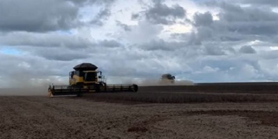 Com chuva, colheita de soja se arrasta no Brasil