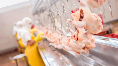 Carne de frango: volume exportado em fevereiro correspondeu a novo recorde para o 2º mês do ano