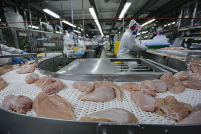 Reino Unido anuncia fim do controle reforçado à compra de carne brasileira