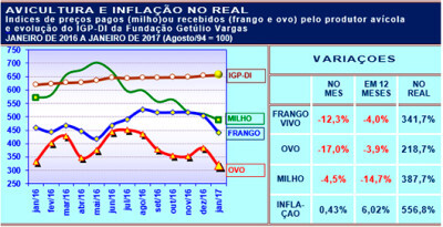 Frango, ovo, milho e inflação em janeiro de 2017