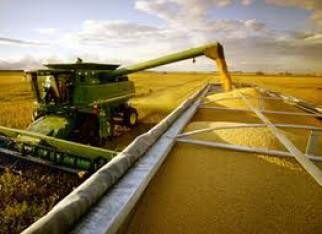 Safra brasileira de grãos deve alcançar 288,2 milhões de toneladas em 10 anos