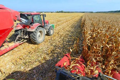 Valor de Produção Agropecuária deve atingir R$ 535,4 bilhões