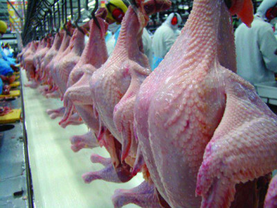 Frango: receita das exportações cresce 9,4% frente a 2016