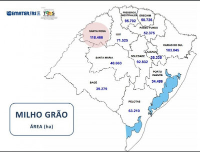 Plantio do milho atinge 30% da área no Rio Grande do Sul